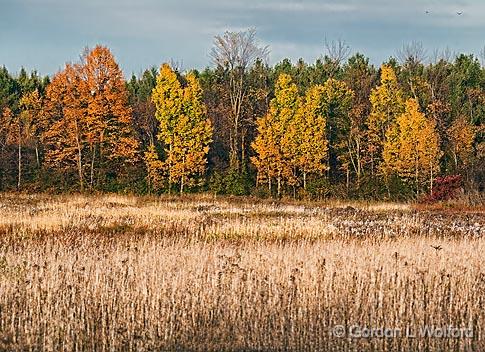 Autumn Landscape_17947.jpg - Photographed near Smiths Falls, Ontario, Canada.